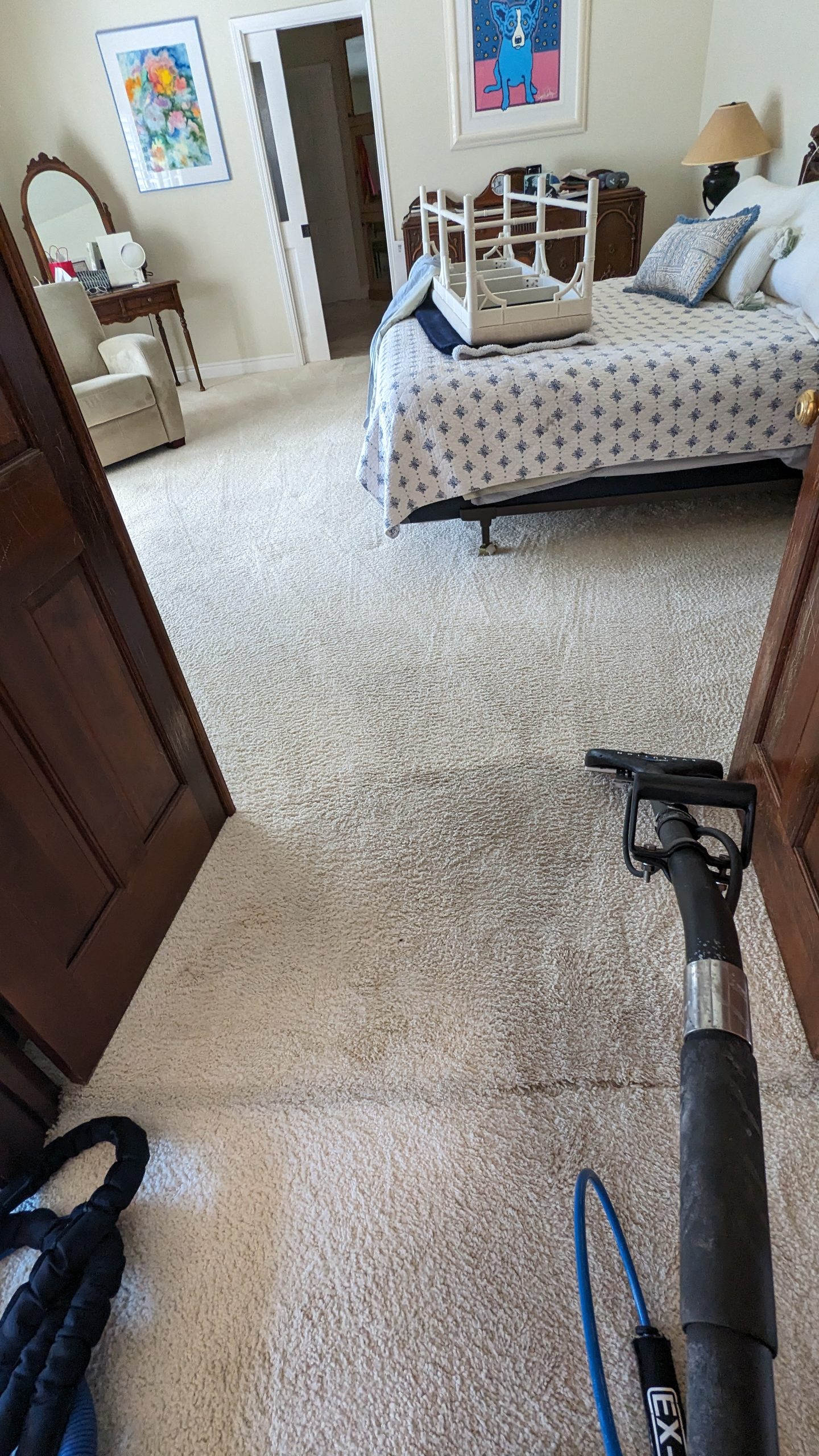Pet stain and odor removal carpet cleaning in Discovery Bay CA