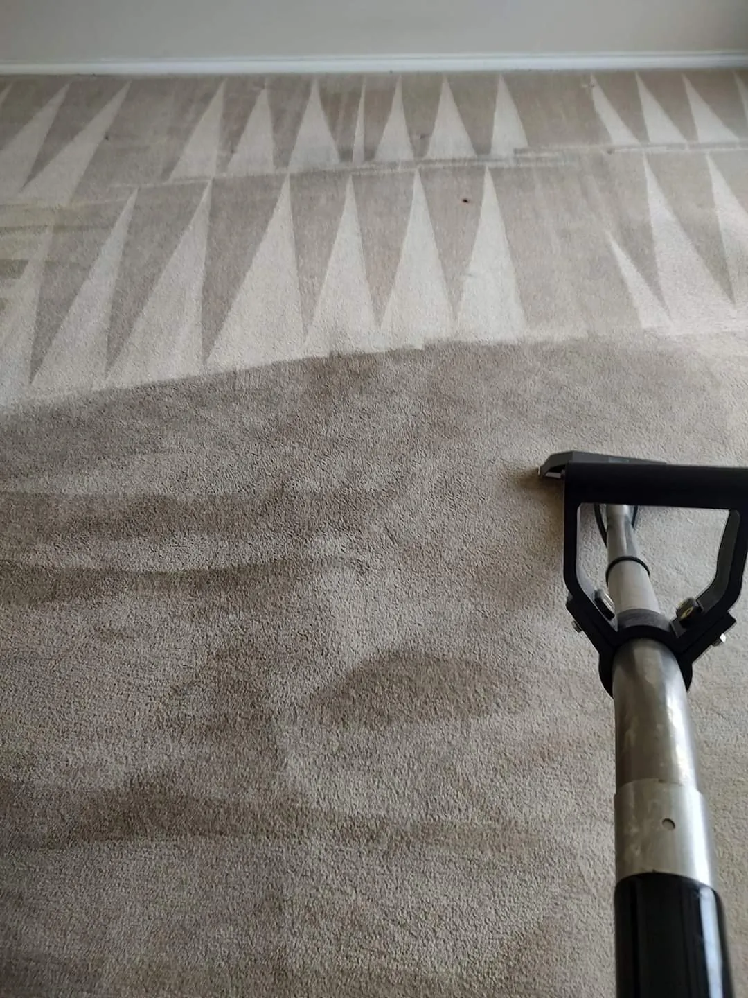 Carpet extraction wand beside freshly cleaned carpet