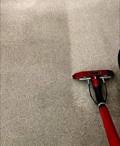 Carpet Cleaning services