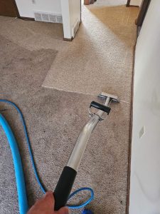 Carpet Cleaning Near Me