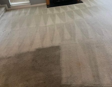Carpet Cleaning nearby